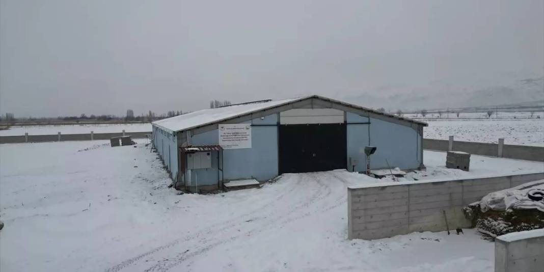 10 dönüm üzerine 15 milyonluk yatırımla işletmesini kurdu! 32 yaşında gelen başarı: Gelenekselden modern üretime geçti 7